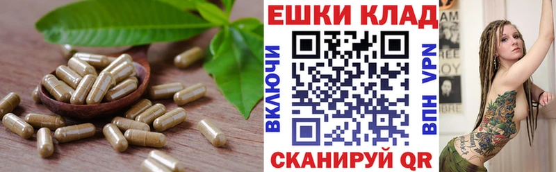Экстази MDMA  наркота  Почеп 